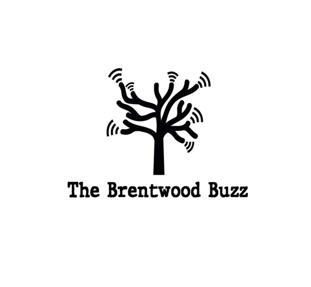 The Brentwood Buzz – A podcast celebrating all that's good about ...